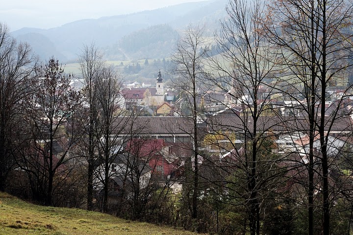 IMG_8920.jpg