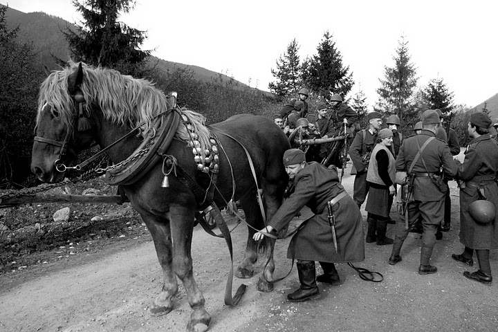 IMG_8976bw.jpg
