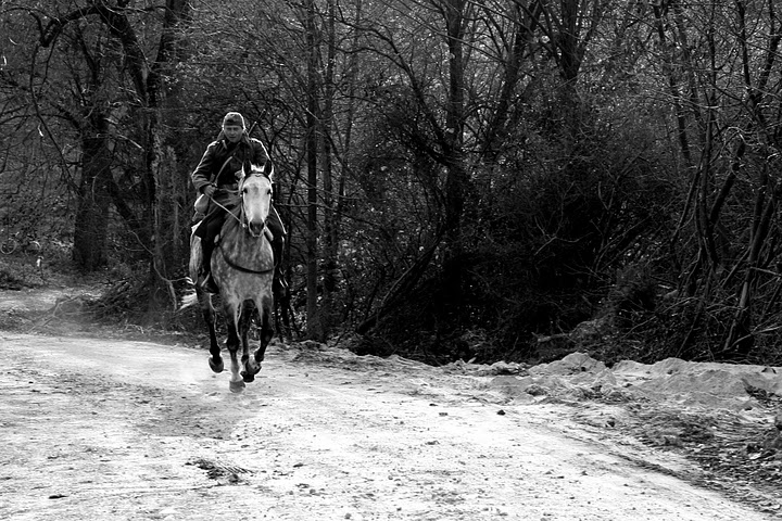 IMG_8980bw.jpg