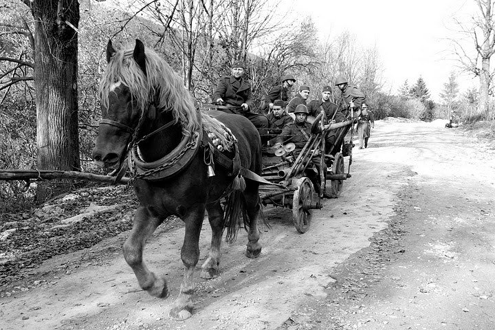 IMG_8987bw.jpg