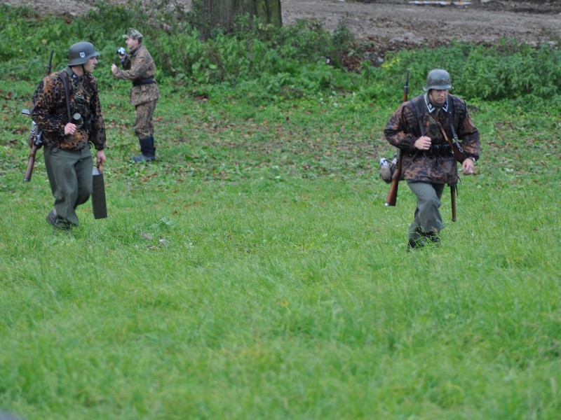 DSC_0486.jpg